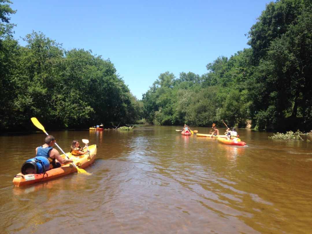 Hire Canoe Kayak Leyre Bassin d'Arcachon Gironde Bordeaux
